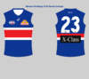 Western Bulldogs 2020 Home1.png