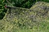 [forum.worldoftanks.eu]1 camouflaged-soviet-tank-of-world-war-ii-b680gk [e].jpg