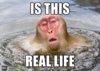 447BDE86-F447-470C-9CC7-809C414E2E11.jpeg