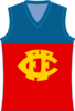 fitzroy lions.png