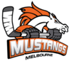 Mustangs_IHC_Logo.png
