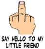 middleFinger.gif