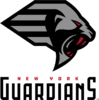 GuardiansSmall.png