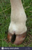 BP43F3.jpg