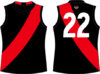 Essendon new logo.jpg