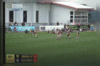 XiaoYing_Video_1570606493000.gif