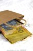 australian-cash-brown-paper-bag-600w-216968389.jpg
