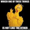 images (14).jpeg