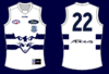 geelong clash 1.png