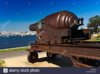 Cannons 3.jpg