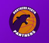 panther logo GOOD.jpg