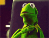 [gifer.com] Kermit Gulp [e].gif