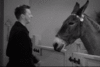 tumblr_o4ty5pSOlG1uibqq7o8_400[1].gif