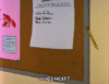 12CD976E-0F1F-4235-A0DE-9B32B0E44198.gif