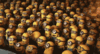 2ufhwNgM3qHKGxq8wdcWAiFpcm29FF1vQ7VZHkTuxCRJTWHZk8FoPLqs5GBkak9FGRE5FJEKw.gif