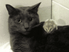 61ADAAA9-C912-4755-8139-B152D289B543.gif