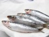 pilchards.jpg