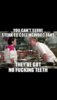 604a39585d75b8ea8183a3617f14c04a--chefs-funny-shit.jpg