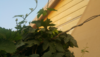 1578043204919.png
