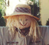 scarecrowhair.png