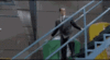in.gif