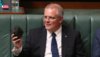 scomo-coal[1].jpg