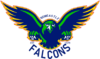 Falcons 2020 concept logo.png