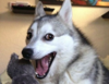 1580767506634.png