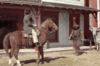 [tenor.com] blazing-saddles-horse-ko-knockout [e].gif