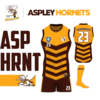 Aspley_Hornets.png