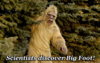 bigfoot discovered.jpg