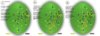 04-004-RICHTactics-1-2-joined.jpg