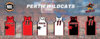 PerthWildcatsFull@0,33x.jpg