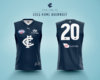 AFL-Jumper-Template_Carlton_Home.jpg