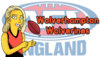 AFL Europe 2020 - Wolverhampton Wolverines.jpg