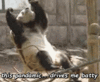 pandamic - batty.gif