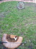 IMG_20200405_143506.jpg