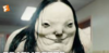 1586420507259.png