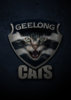 Geelong_Poster_Web.jpg