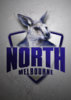 NorthMelbourne_Poster_Web.jpg