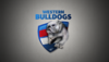 WesternBulldogsDesktop4K.png