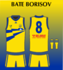 BATE Borisov 1.png
