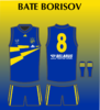 BATE Borisov 2.png