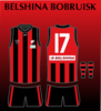 Belshina Bobruisk 1.png