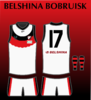 Belshina Bobruisk 2.png