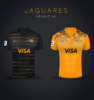 Jaguares-II.png