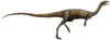 900-Elaphrosaurus_(flipped).jpg
