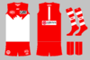 graphic_kit_afl_2021_syd_111_home.png