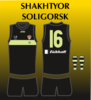 Shakhtyor Soligorsk 2.png