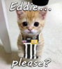 please eddie.jpg